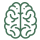 brain